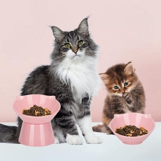 gamelle chat surélevée démontable