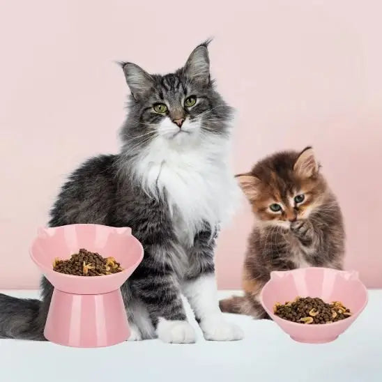 gamelle chat surélevée démontable