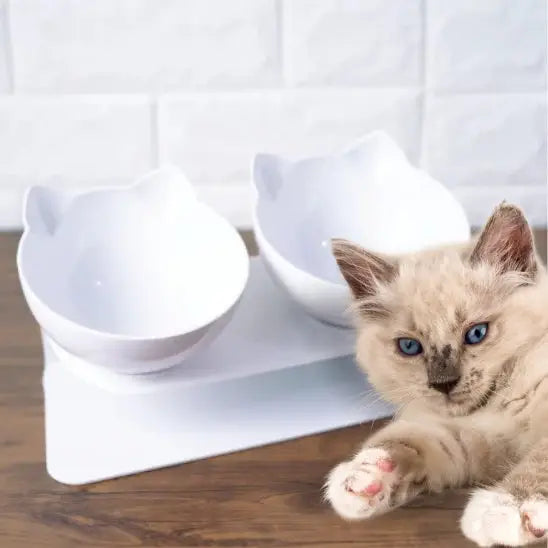 gamelle chat surélevée double plastique blanc