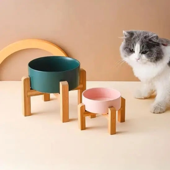 gamelle chat surélevée céramique rose verte support bois