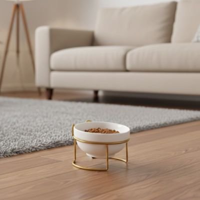 Gamelle surélevée pour chat design céramique avec support stable