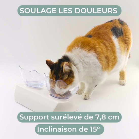 gamelle chat surélevée douleur