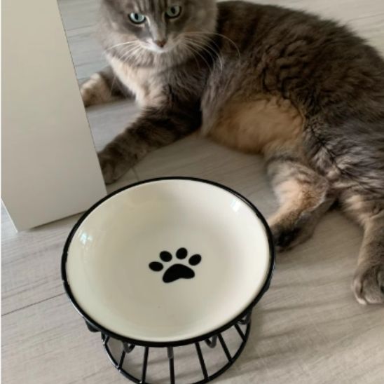 gamelle chat surélevée métal noir et bol céramique patte