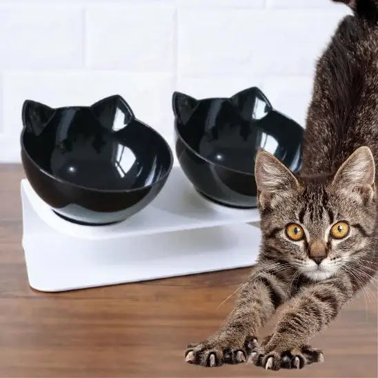 gamelle chat surélevée double bol plastique noir