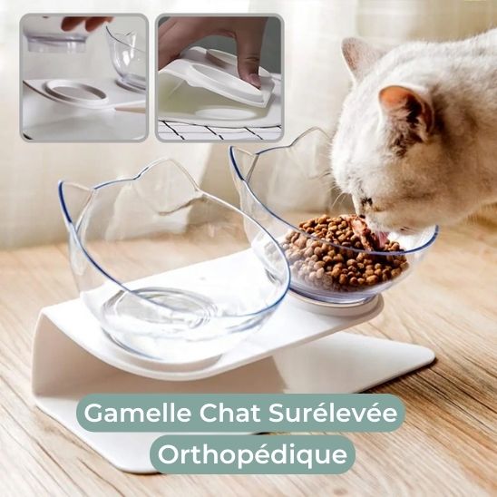 gamelle chat surélevée orthopédique