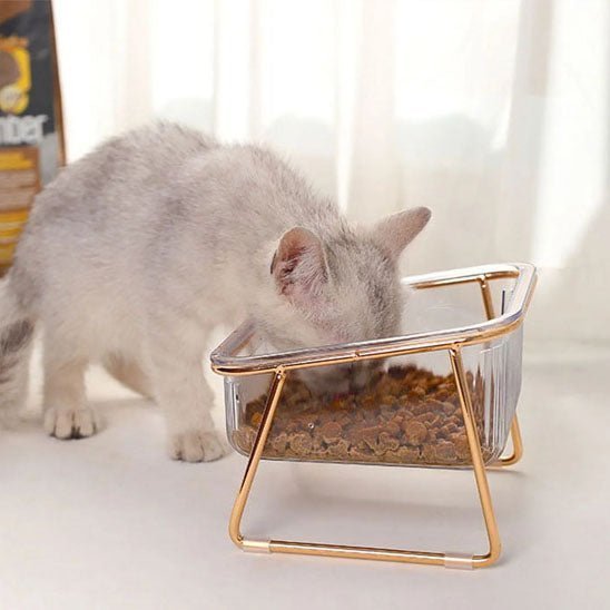 gamelle-chat-transparente-plastique-bol-simple-support-métal