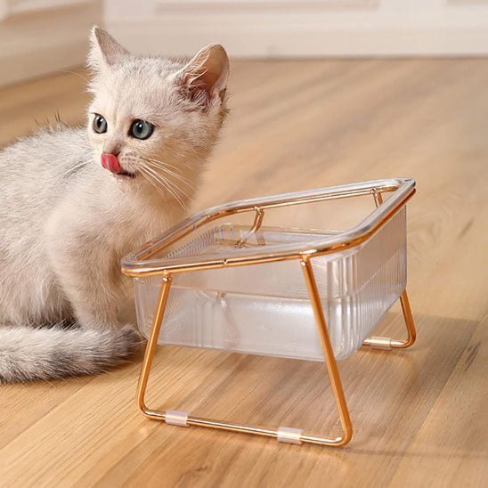 gamelle-chat-transparente-simple-métal