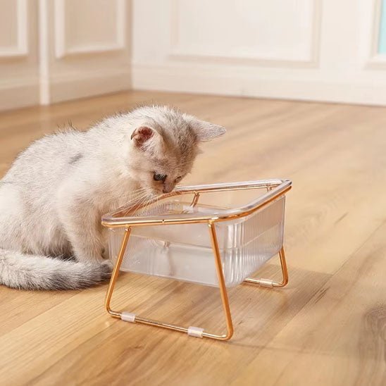 gamelle-chat-transparente-stable-antidérapante