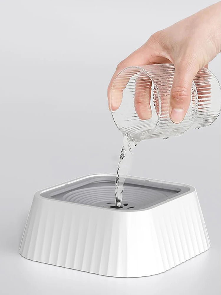 Gamelle eau pour chat surélevée pour coin hydratation