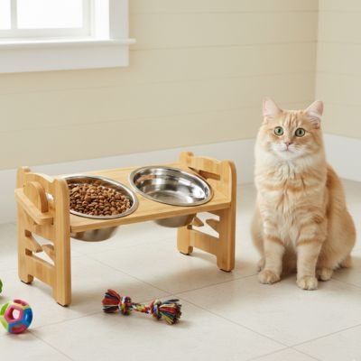 gamelle inclinable pour chat surélevée favorisant la digestion et le confort