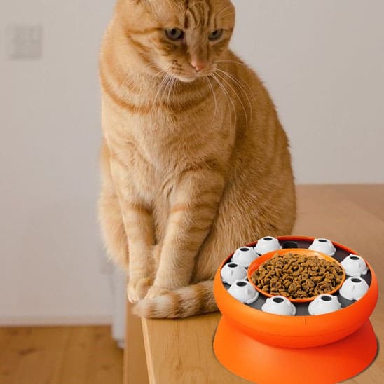 gamelle pour chat anti glouton interactive orange stimulation mentale