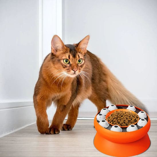 gamelle pour chat anti glouton interactive orange inclinée surélevée