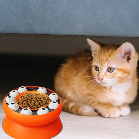 gamelle pour chat anti glouton interactive orange vomissements