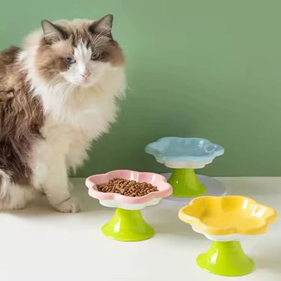 gamelle pour chat forme fleur céramique surélevée confortable
