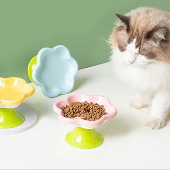 gamelle pour chat design floral rose céramique surélevée