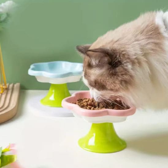 gamelle pour chat forme fleur rose céramique surélevée ergonomique