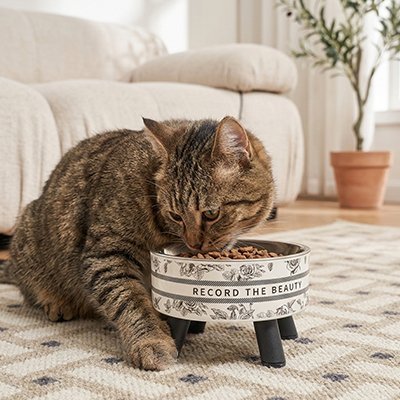 Détail de la gamelle surélevée chat et de son bol inox