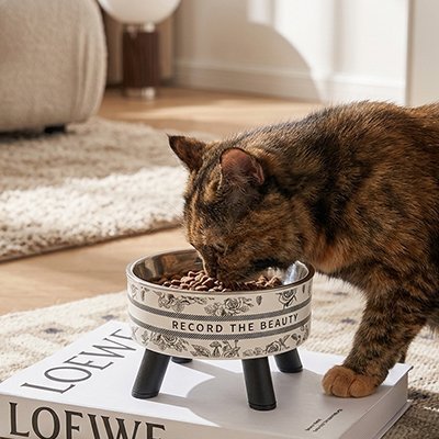 Gamelle surélevée chat élégante avec bol amovible