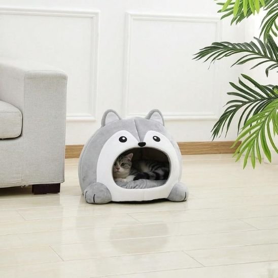 Maison chat grotte forme loup niche intérieure