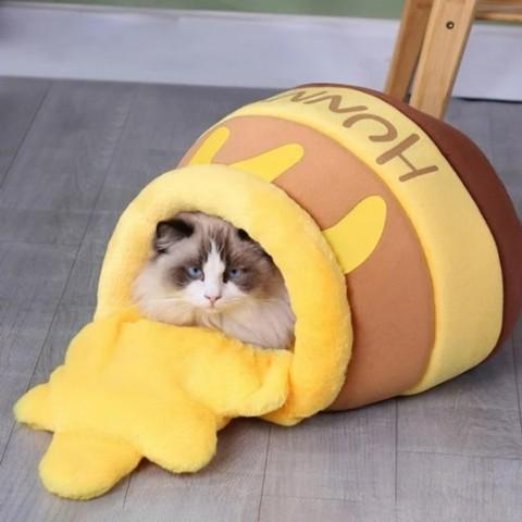 maison chat design pot de miel coussin amovible