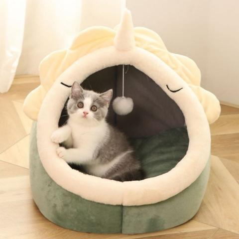 maison pour chat niche intérieure dinosaure semi-fermée jeu sommeil