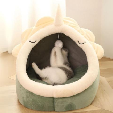 maison pour chat niche intérieure dinosaure semi-fermée jeu sommeil