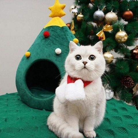 Maison pour chat velours design sapin noël lavable