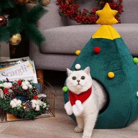 Maison pour chat velours design sapin noël lavable