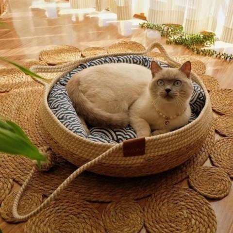 panier chat osier rotin coussin rebord griffoir corde jeu multifonction