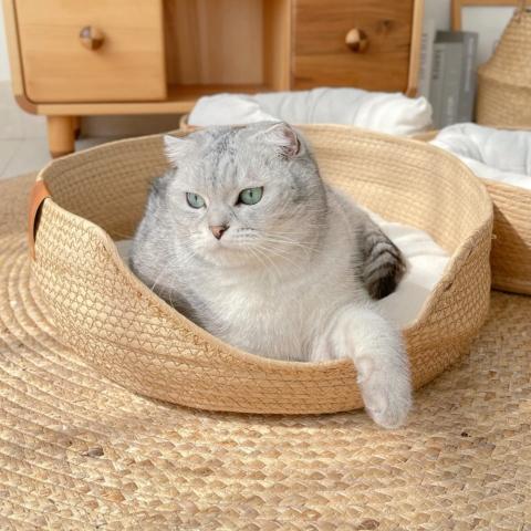 panier chat osier tissé à la main oreiller coussin amovible