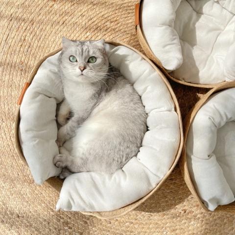 panier chat osier tissé à la main oreiller coussin amovible