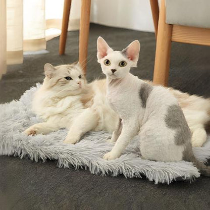 Panier chat trésor caché transformable coussin tapis peluche
