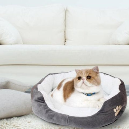 Panier pour chat nuage douillet peluche douce antidérapant compact