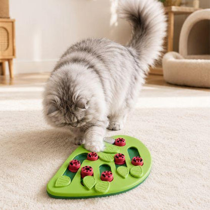 Chat curieux devant un puzzle alimentaire pour chat