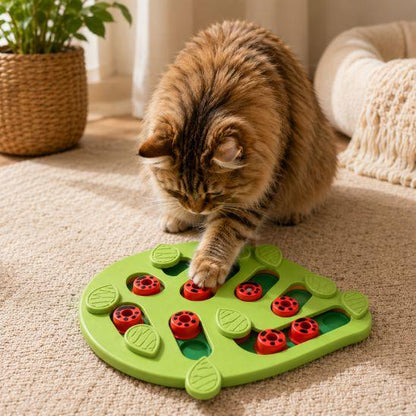 Chat curieux utilisant un puzzle alimentaire pour chat