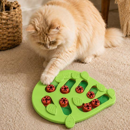 Chat à poil long jouant avec un puzzle alimentaire