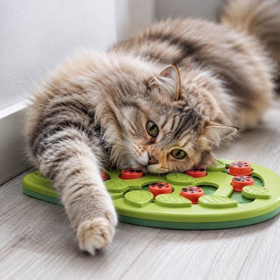 Chat couché sur un puzzle alimentaire pour chat