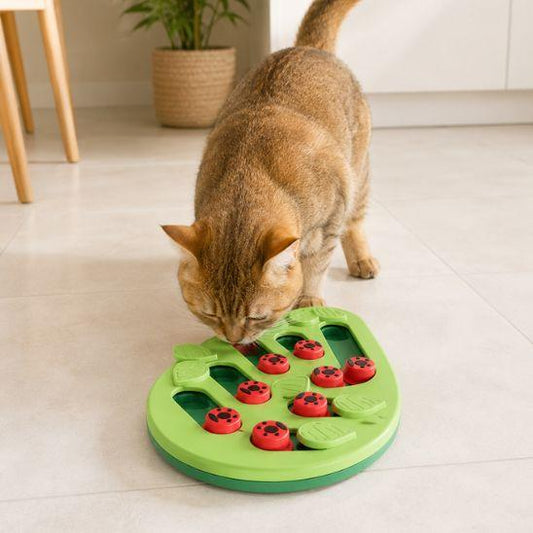 Chat utilisant un puzzle alimentaire pour chat