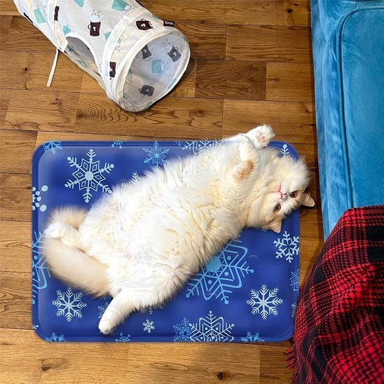 Grand chat blanc couché sur un tapis rafraîchissant à eau bleu avec motif flocons