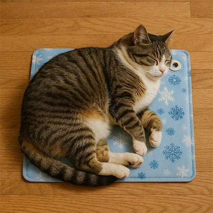 Tapis rafraîchissant chat à eau bleu pâle avec motif flocons