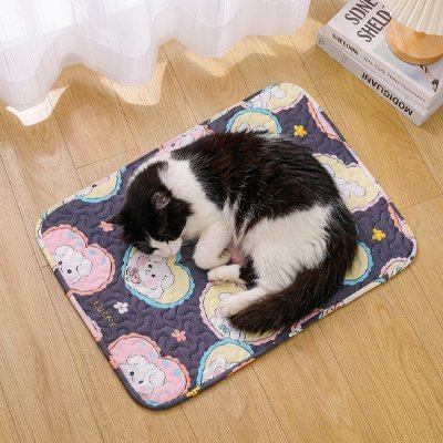 Chat noir et blanc couché sur un tapis rafraîchissant pour chat près d’une fenêtre
